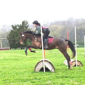 Meet your Posher, Krista